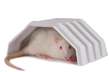 Bio-Huts (250 stk)