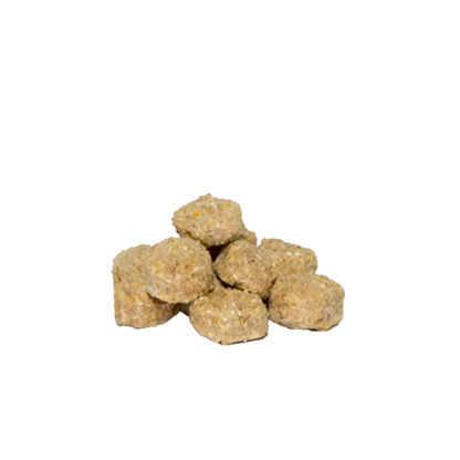 altromin-minipig-9069.jpg