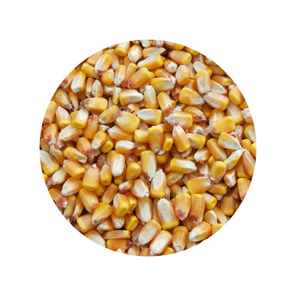 fodermajs-20kg.jpg