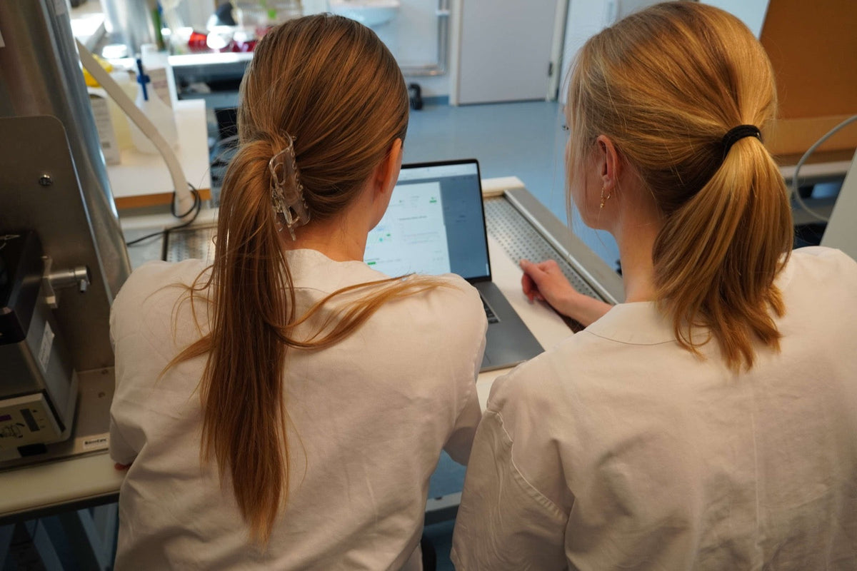 Researchers following NestLab data on a laptop